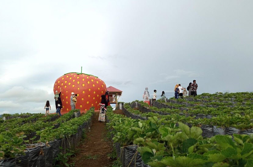 Solok Botanical Garden, Indonesia, Indonesia